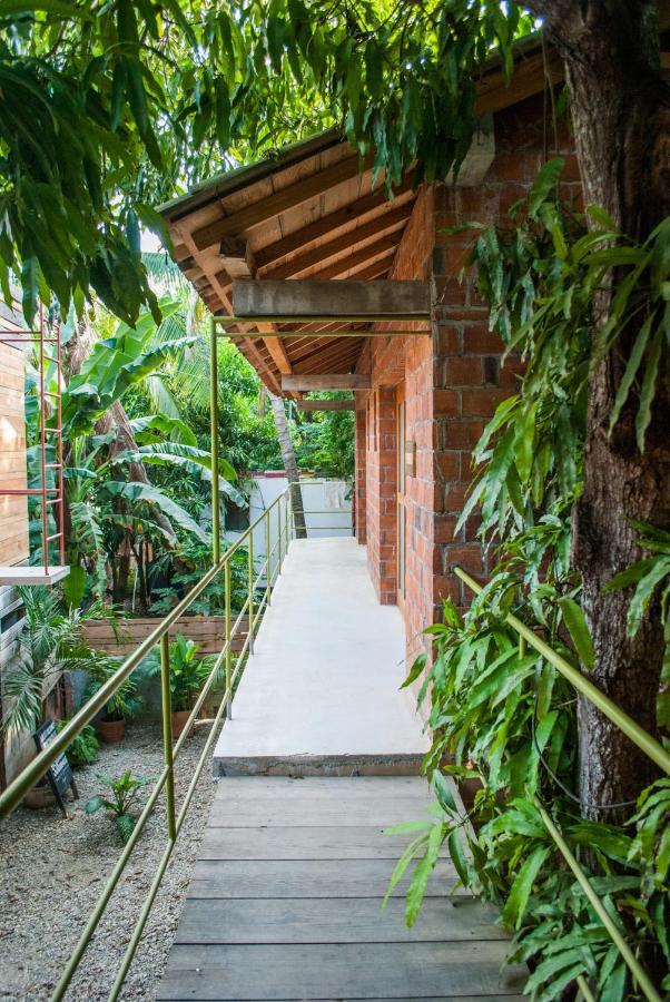 Hotel Pochote Mazunte Eksteriør billede